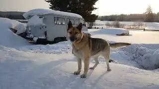 Снежный январь!
