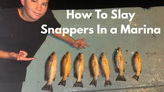 How To Slay Snappers in a Private  Invite Only  Marina ( MIAMI)