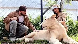 Lion Land Park in Phuket