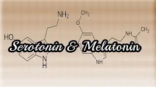 Serotonin & Melatonin | Biochemistry | B. Pharmacy II Semester
