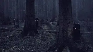 Northdans - Trolsk