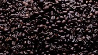 Coffee   45358