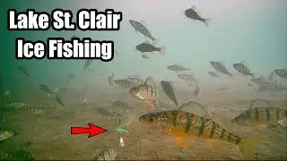 Ice Fishing Lake St. Clair February 16, 2026