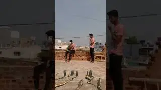 funny cobra snake vfx magic video #shorts #cobra