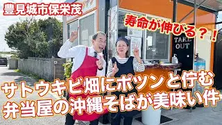 【沖縄 豊見城】なんと！偶然に店長の同級生がやっているChitchiキッチンへまーさんぽ！