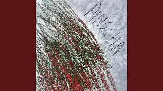 Pinocha