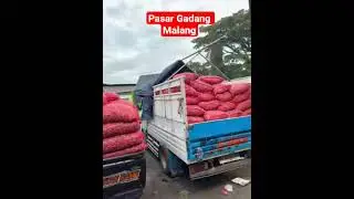 Pasar Gadang Malang #bumbudapur #bawangmerah #pasarlegi