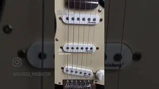 Setup completo de guitarra