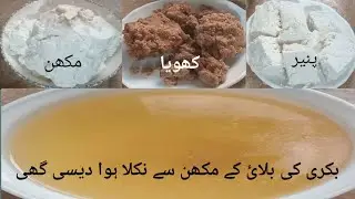4 in 1 Recipe | Homemade | Goat Desi Ghee | Goat Milk Desi Ghee Recipe By Zareen Raza 🐐 | #desighee