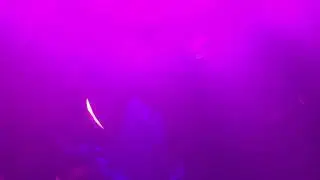 WGT2017 industrial dance