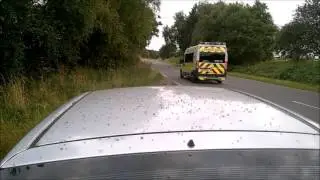Flying ants all over my car!