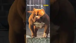 Animals Can't be scary!? (4k Edit) #edit #lion #animals #shorts