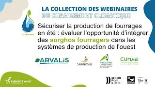 CLIMATVEG - Webinaire final SP2.6 | Sorghos fourragers