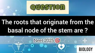 The roots that originate from the basal node of the stem are? #neet2025 #doubt