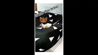 KETIKA KUCING SULTAN TIDUR SIANG 🐈😂. #shorts#viral#dunia#dream11#tiktok