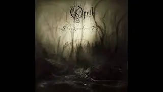 Still Day Beneath the Sun