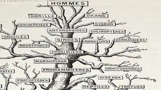 01. Introduzione alla biologia sistematica