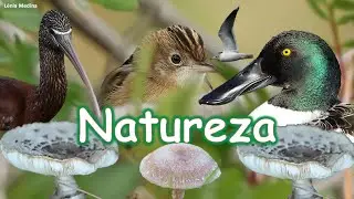 Natureza no Algarve - Passeio 11 - Portugal
