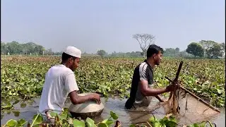best new village fishing videos . today fishing in the lake.