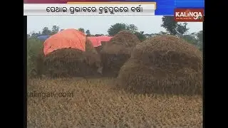 Cyclone Pethai affects Berhampur | Kalinga TV