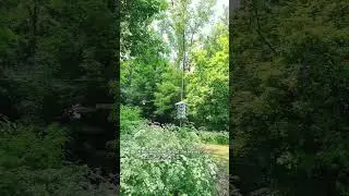 🌿 A Home in the Green | خانه&zwnj;ای در دل سبز