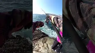 Last fishing Dec. 2025 at northern Oman.