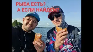 В ПОИСКАХ РЫБЫ часть 1