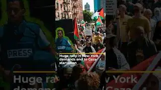 Огромный митинг в Нью-Йорке с требованием положить конец голоду в секторе Газа