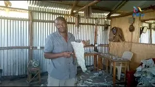 My Story: Kisumu innovator profiting from tanning fish skin into leather