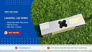 Loadcell L6E 300kg (Zemic - Hà Lan)