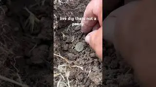Live dig metal detecting Vallejo #metaldetecting #treasure #foryou