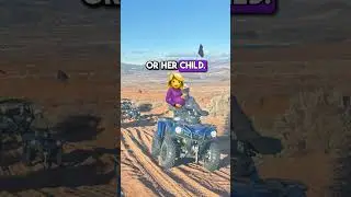 FAQs we get here at ATV & Jeep Adventure Tours PART 3 !!