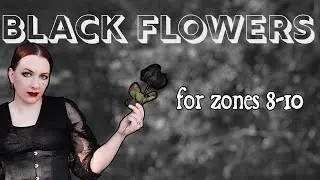 15 Goth Plants For Warm Climates - My Realistic Recommendations!