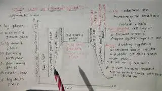 Bacterial Growth curve#7 phases# Telugu explanation for english medium students.