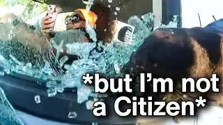 Sovereign Citizen Gets Window Busted When Messed With the Wrong Cops, Instantly Regrets It