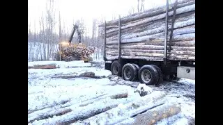 Making Sense of Timber Taxes
