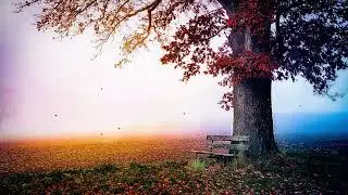 Enchanting Nature Scenes | Fantasy & Relaxing