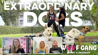 POSTGAME SHOW S03-E03 🎙️ Our Woof Gang Bakery & Grooming expert answers all!