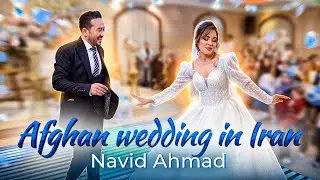 Afghan Wedding in Iran | Mast Dance Groom & Bride | Navid Ahmad | Afghan Song