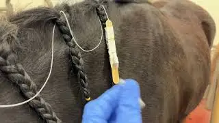 Administering Medication via SPL