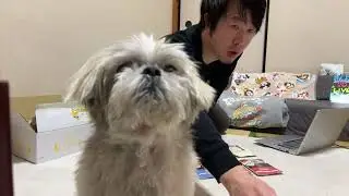 【再入荷お知らせあり】今夜もアップ多めまったり配信【金曜20時定時ライブ】 2025.01/24