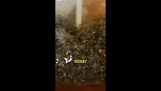 Tea with Potassium and Silica