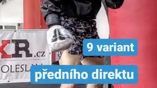 Box: 9 variant předního direktu