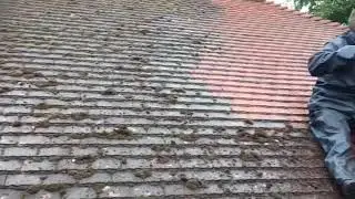 Roof Cleaning, Removing moss from a red tiled roof using the Doff steam cleaning system in London