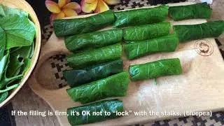 Vietnam Superfood Wild Pepper Leaf Meat Rolls♡#13 Tasty! ベトナムのハイゴショウミートロール SG Plant植物(9) Piper s.