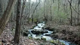 Secluded Private Acreage For Sale in Sevier County, TN