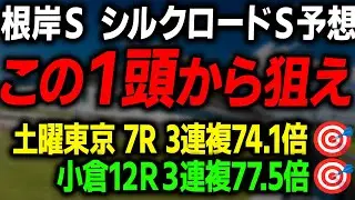 【根岸S シルクロードS 2026 最終予想】本命馬と最終買い目を徹底解説します
