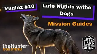 Руководство по заданиям &laquo;Vualez #10&raquo; и &laquo;Late Nights with the Dogs&raquo; / theHunter: Call of the Wild ...