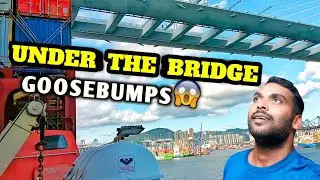 Ship Passing Under a Bridge 😱 | ఈ క్షణం గూస్‌బంప్స్ | Telugu Vlog 4K