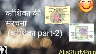Cell internal Structure